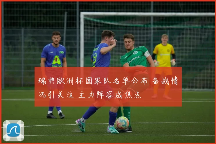 瑞典欧洲杯国家队名单公布 备战情况引关注 主力阵容成焦点