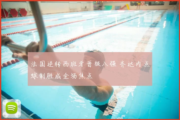 法国逆转西班牙晋级八强 齐达内点球制胜成全场焦点