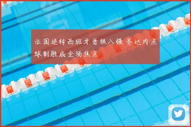 法国逆转西班牙晋级八强 齐达内点球制胜成全场焦点