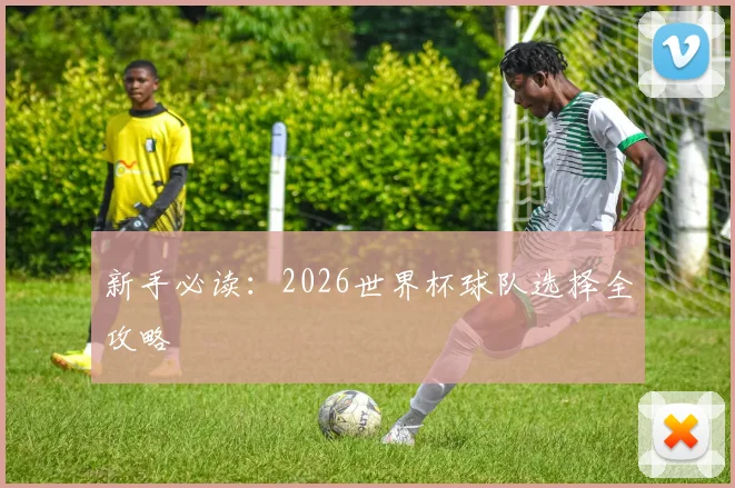 新手必读:2026世界杯球队选择全攻略