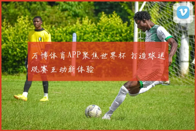 万博体育APP聚焦世界杯 打造球迷观赛互动新体验