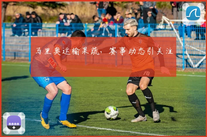 马里奥运输果蔬，赛事动态引关注