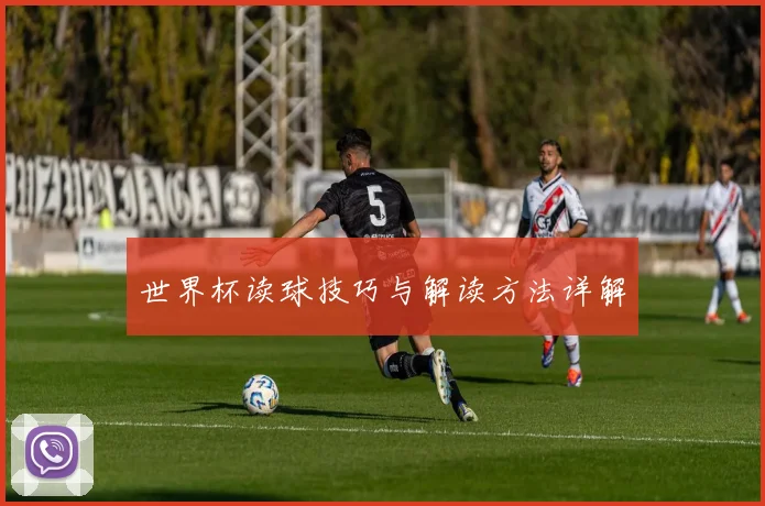 世界杯读球技巧与解读方法详解