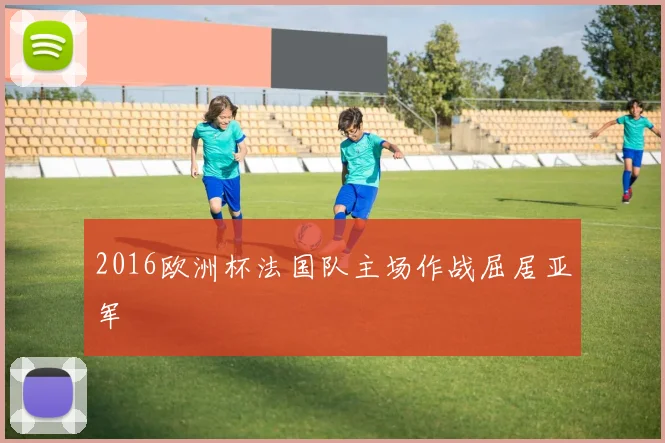 2016欧洲杯法国队主场作战屈居亚军
