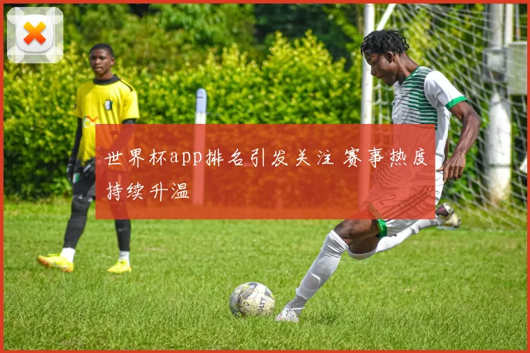 世界杯app排名引发关注 赛事热度持续升温