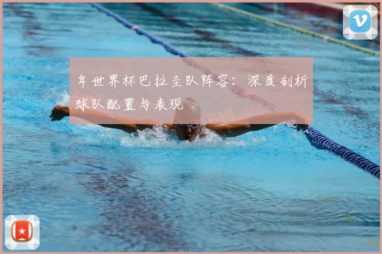 年世界杯巴拉圭队阵容:深度剖析球队配置与表现