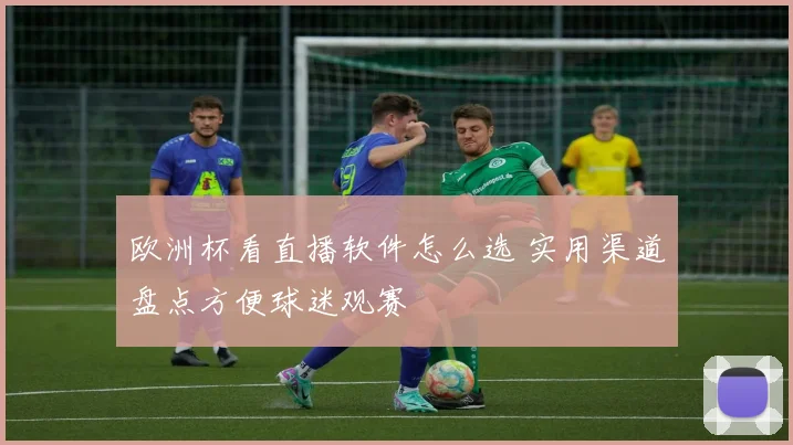 欧洲杯看直播软件怎么选 实用渠道盘点方便球迷观赛