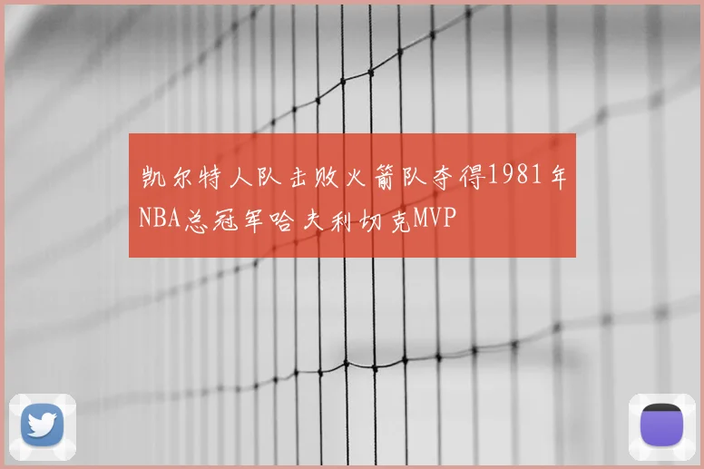 凯尔特人队击败火箭队夺得1981年NBA总冠军哈夫利切克MVP